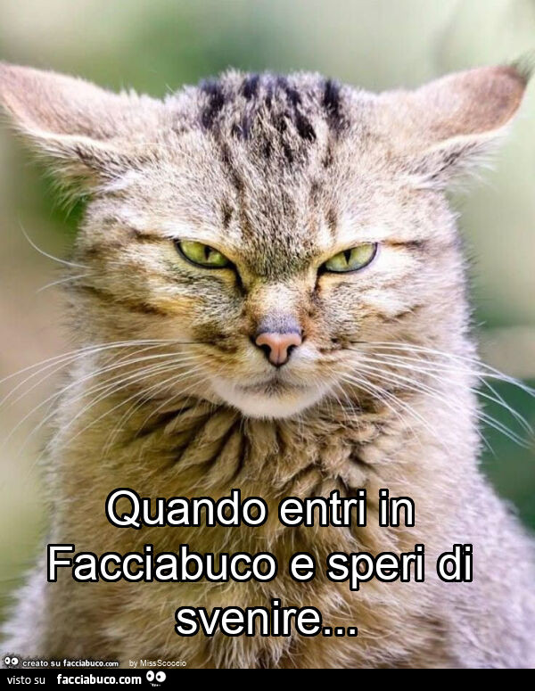 Quando entri in facciabuco e speri di svenire