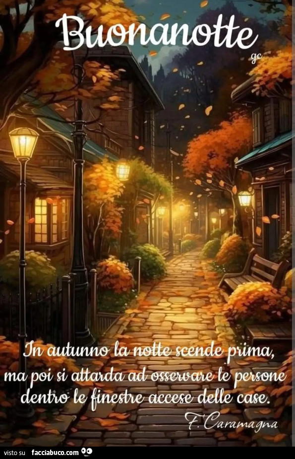 'Notte