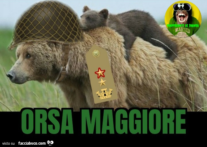 Orsa maggiore