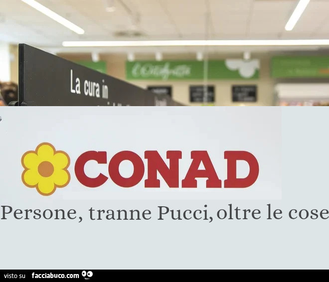 Pucci e conad