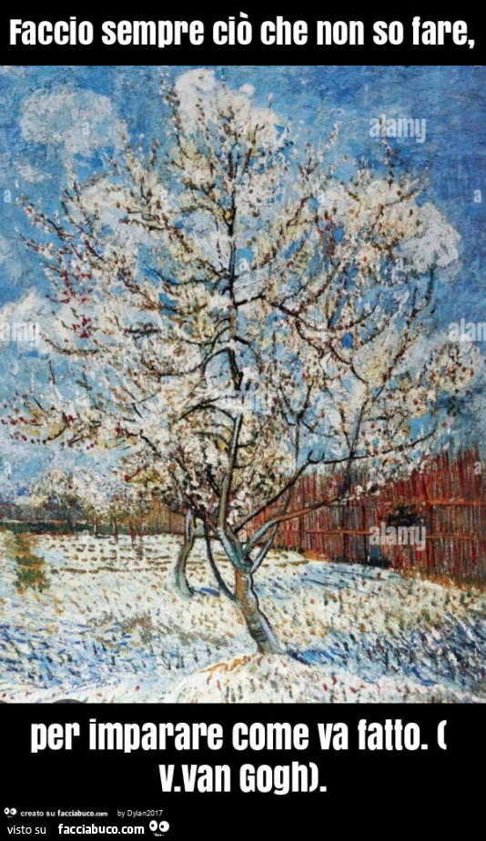 Faccio sempre ciò che non so fare, per imparare come va fatto. ( V. Van gogh)