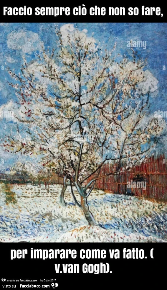 Faccio sempre ciò che non so fare, per imparare come va fatto. ( V. Van gogh)