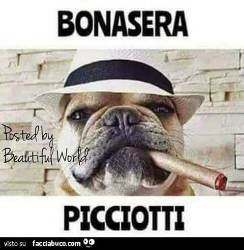 Vaccata