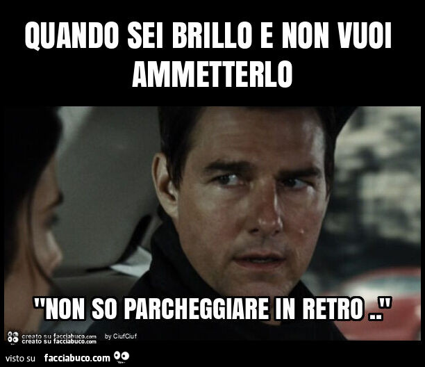 Quando sei brillo e non vuoi ammetterlo