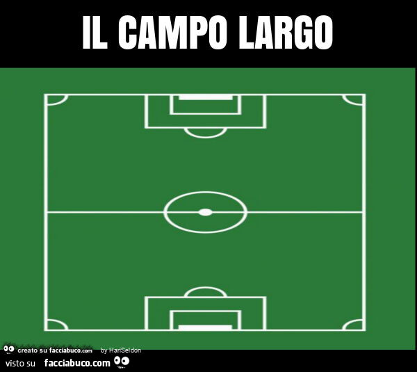 Il campo largo