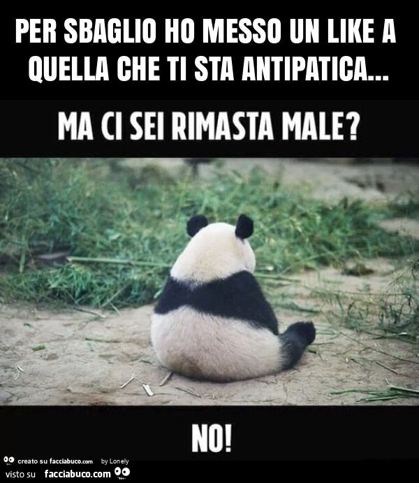 Per sbaglio ho messo un like a quella che ti sta antipatica…