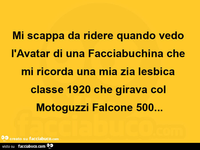 Mi scappa da ridere quando vedo l'avatar di una facciabuchina che mi ricorda una mia zia lesbica classe 1920 che girava col motoguzzi falcone 500