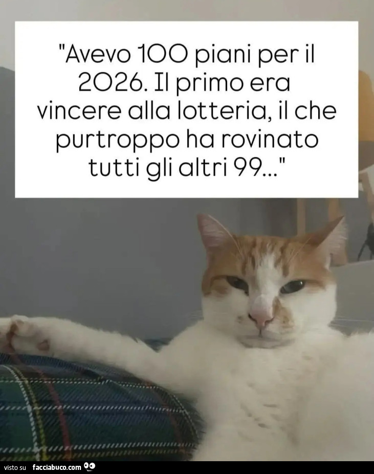 Avevo 100 piani per il 2026 il primo era vincere alla lotteria il che purtroppo ha rovinato tutti gli altri 99 gatto