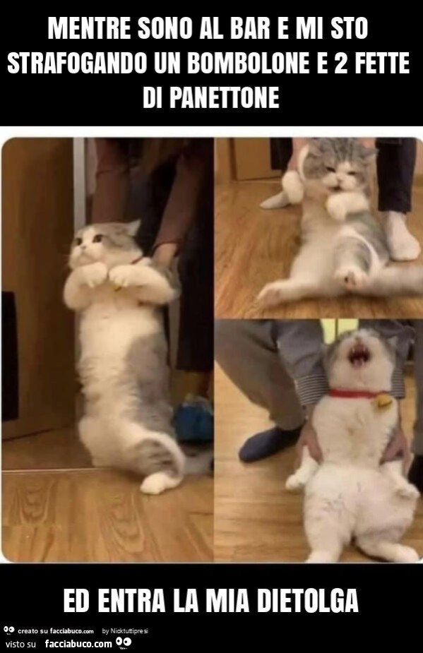 Mentre sono al bar e mi sto strafogando un bombolone e 2 fette di panettone ed entra la mia dietolga