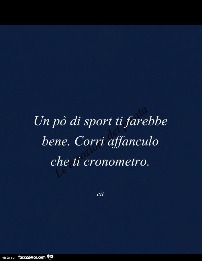 Un po' di sport ti farebbe bene. Corri a fanculo che ti cronometro