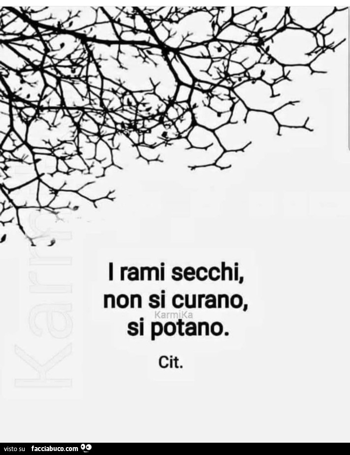 I rami secchi, non si curano, si potano