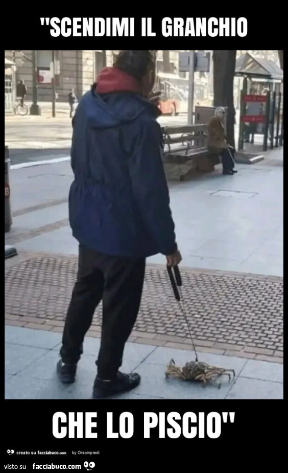 "scendimi il granchio che lo piscio"