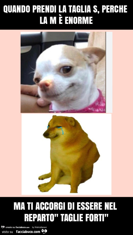 Quando prendi la taglia s, perche la m è enorme ma ti accorgi di essere nel reparto" taglie forti"