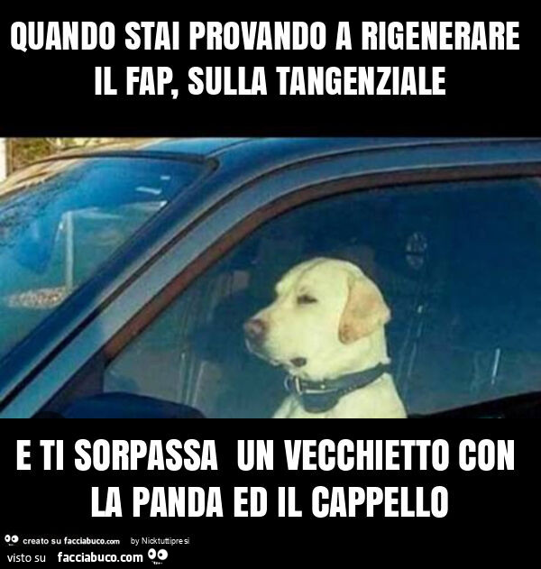 Quando stai provando a rigenerare il fap, sulla tangenziale e ti sorpassa un vecchietto con la panda ed il cappello
