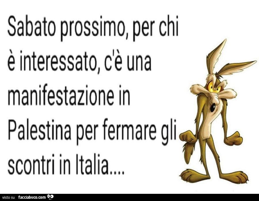 Sabato prossimo, per chi è interessato, c'è una manifestazione in palestina per fermare gli scontri in italia