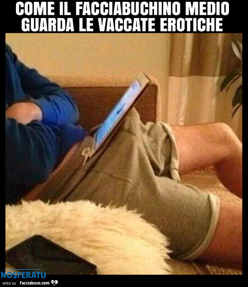 Il facciabuchino medio