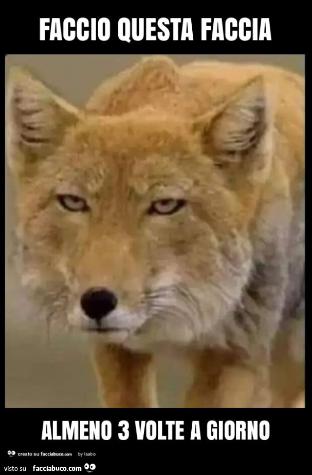 Faccio questa faccia almeno 3 volte a giorno