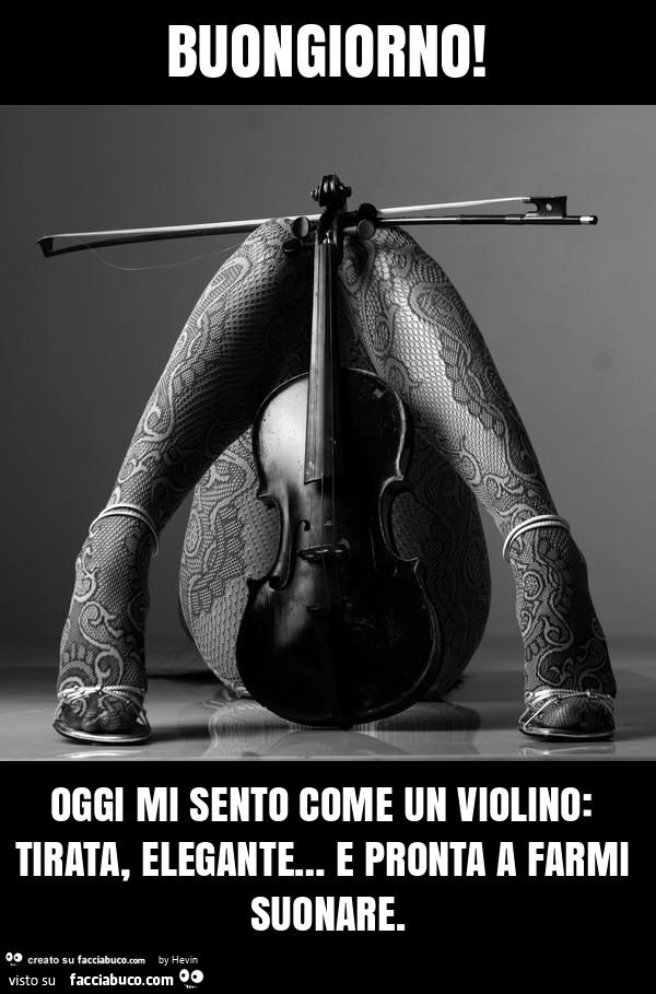 Buongiorno! Oggi mi sento come un violino: tirata, elegante… e pronta a farmi suonare