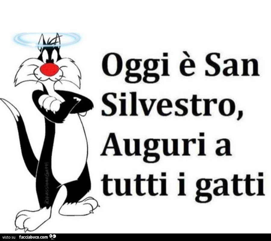 Oggi è san silvestro, auguri a tutti i gatti