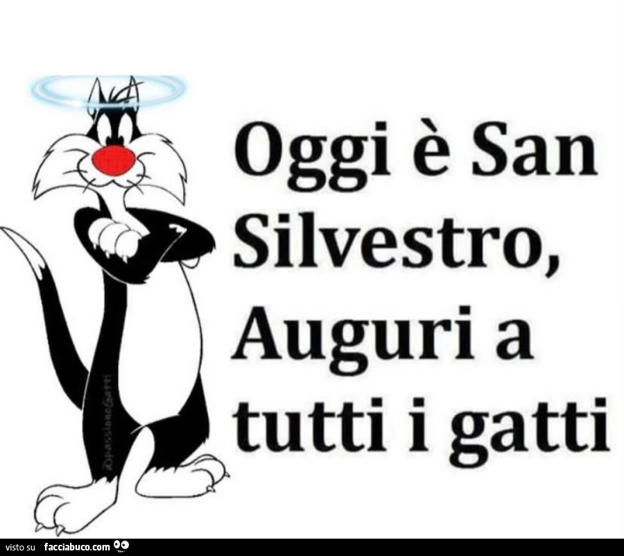 Oggi รจ san silvestro, auguri a tutti i gatti