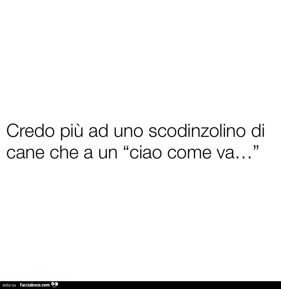 Credo più ad uno scodinzolino di cane che a un ciao come va
