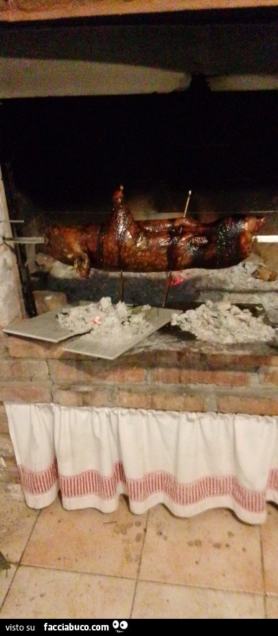 Vaccata