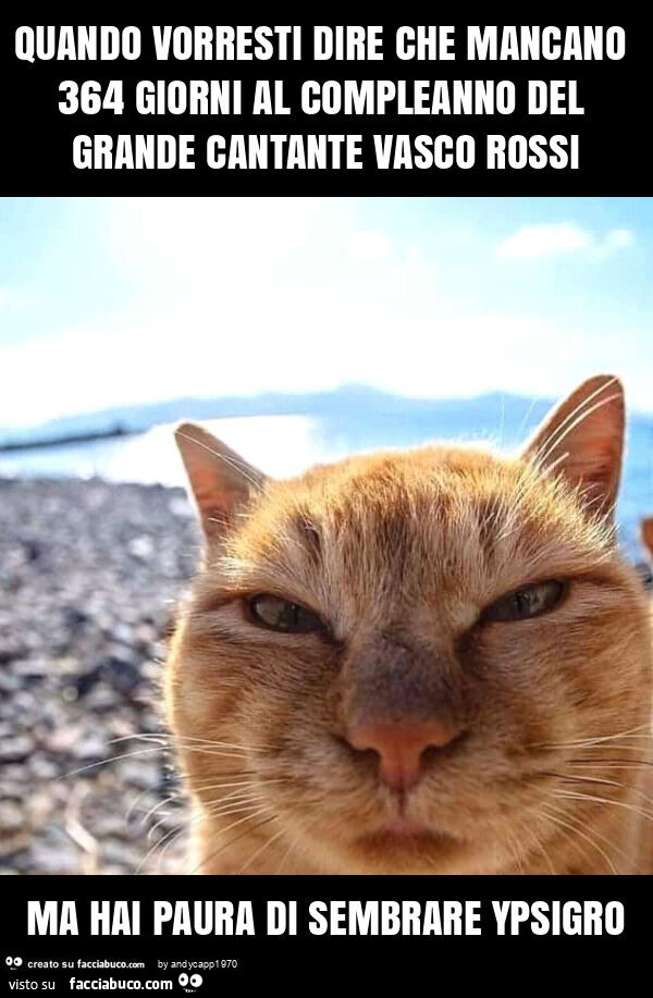 Quando vorresti dire che mancano 364 giorni al compleanno del grande cantante vasco rossi ma hai paura di sembrare ypsigro