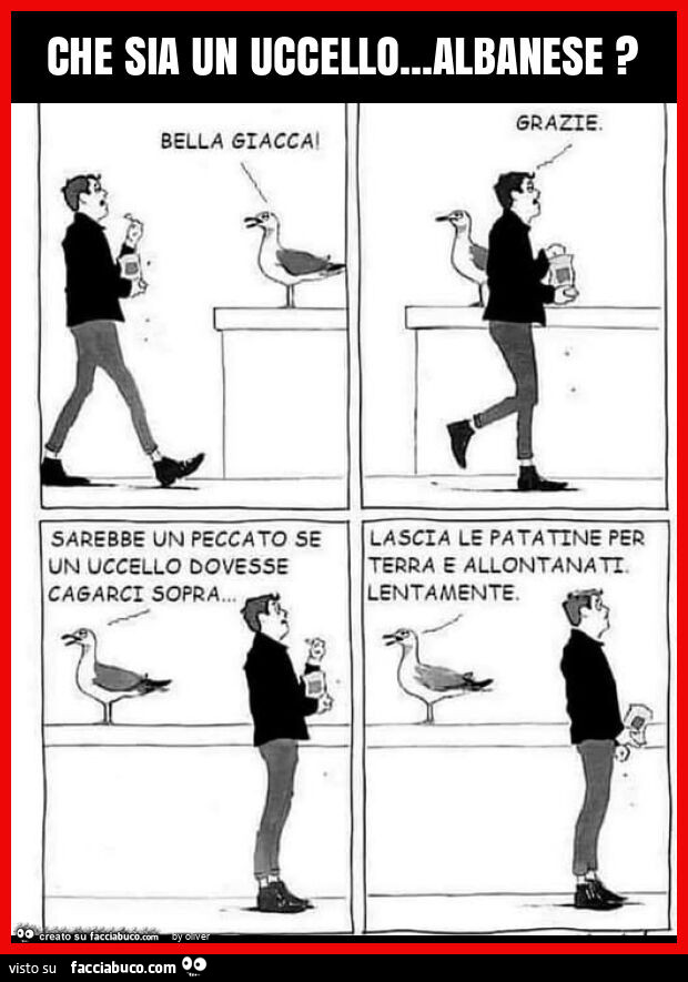 Che sia un uccello… albanese?