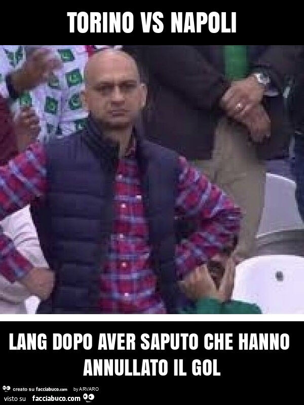 Torino vs napoli lang dopo aver saputo che hanno annullato il gol