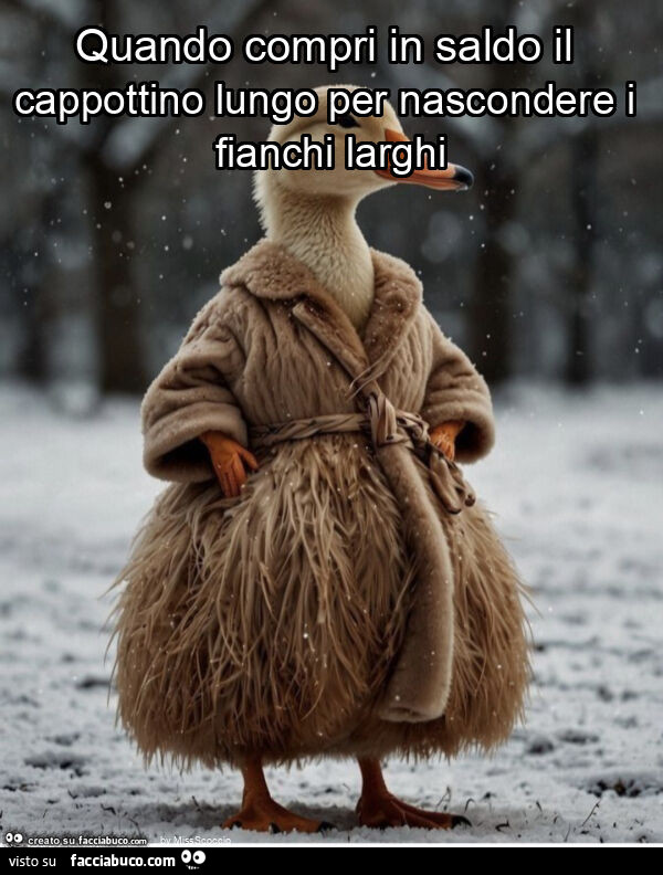 Quando compri in saldo il cappottino lungo per nascondere i fianchi larghi