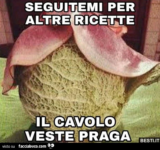 Cavolo