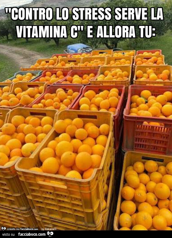 "contro lo stress serve la vitamina c" e allora tu