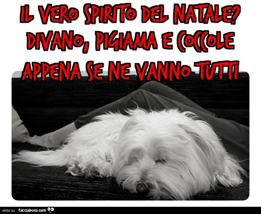 Il vero spirito del Natale divano pigiama e coccole appena se ne vanno tutti