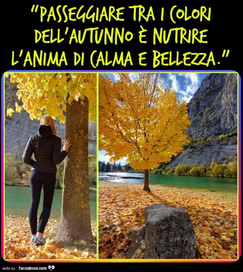 “Passeggiare tra i colori dell'autunno è nutrire l'anima di calma e bellezza. ”