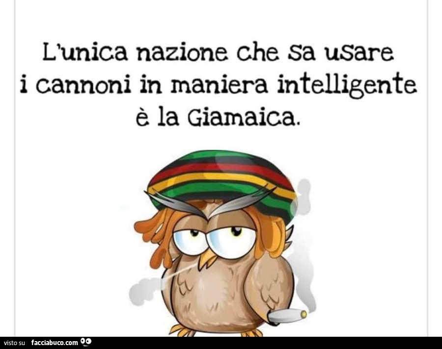 L'unica nazione che sa usare i cannoni in maniera intelligente รจ la giamaica