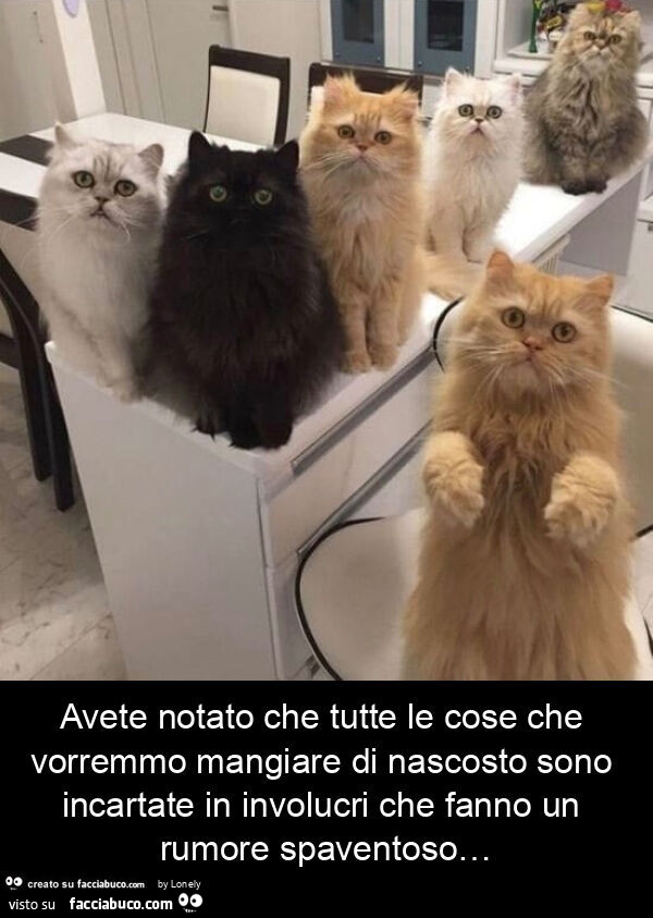 Avete notato che tutte le cose che vorremmo mangiare di nascosto sono incartate in involucri che fanno un rumore spaventoso&hellip;