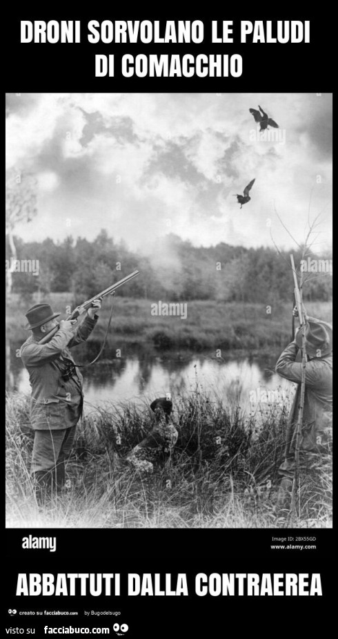 Droni sorvolano le paludi di comacchio abbattuti dalla contraerea