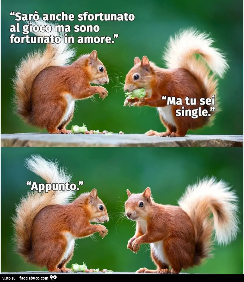 Sarò anche sfortunato al gioco ma sono fortunato in amore ma tu sei single appunto scoiattoli