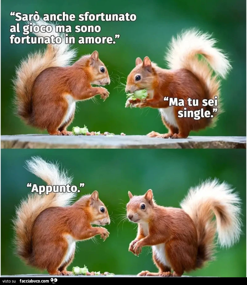 Sarรฒ anche sfortunato al gioco ma sono fortunato in amore ma tu sei single appunto scoiattoli