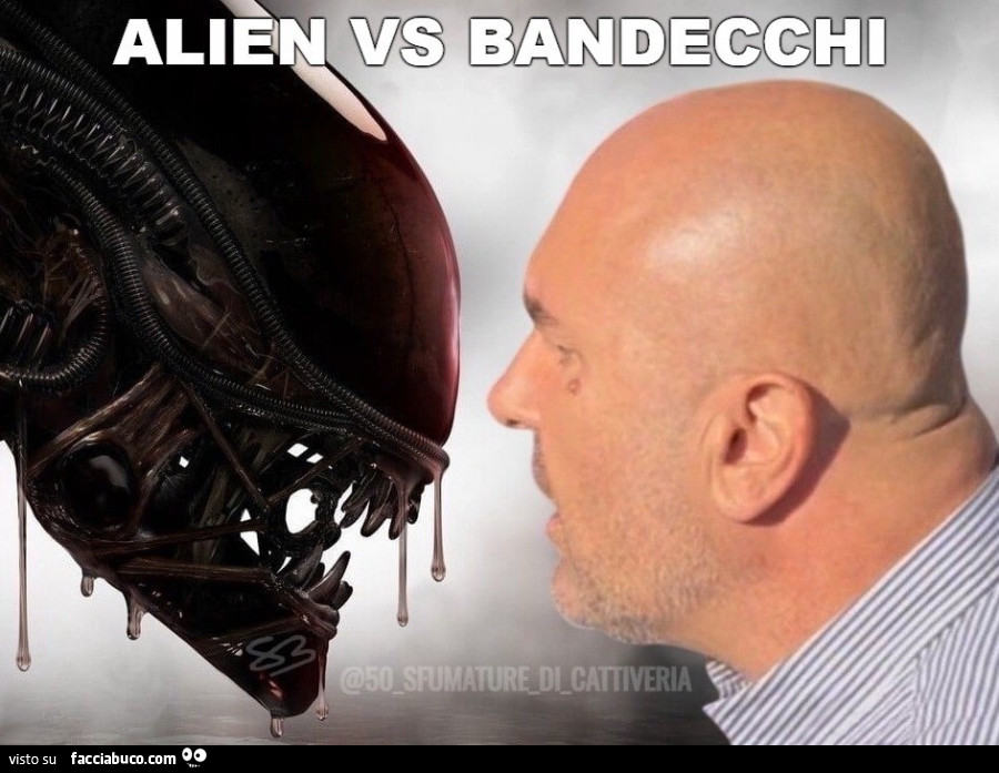 ALIEN VS BANDECCHI