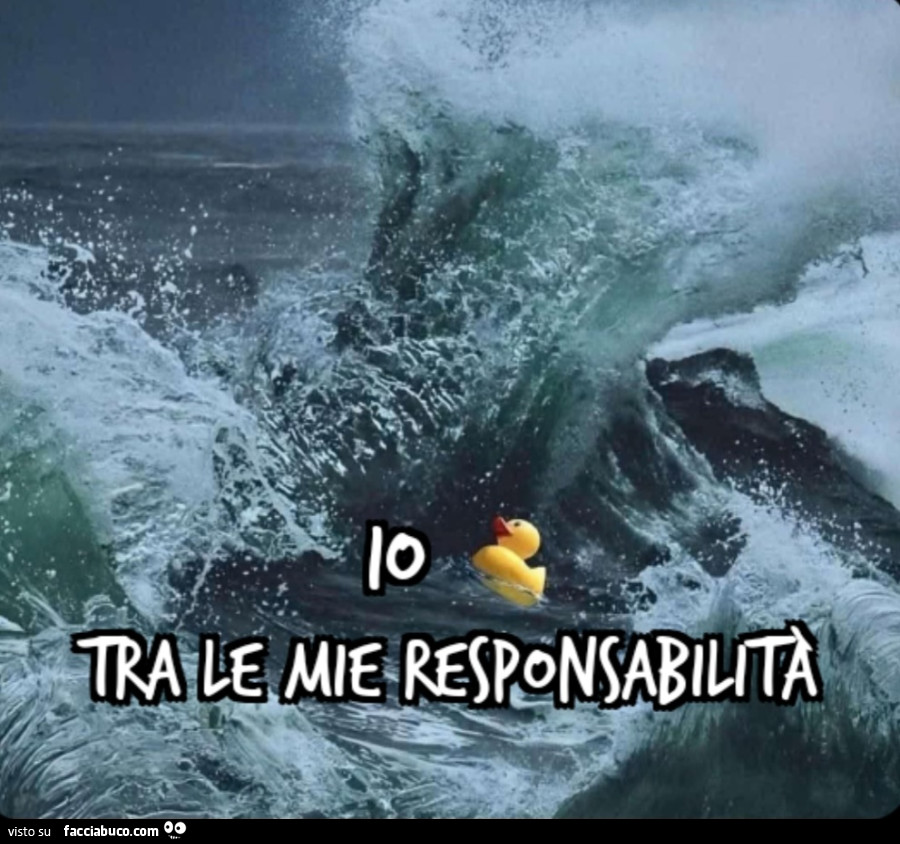 Io tra le mie responsabilità paperella in mezzo alle onde del mare