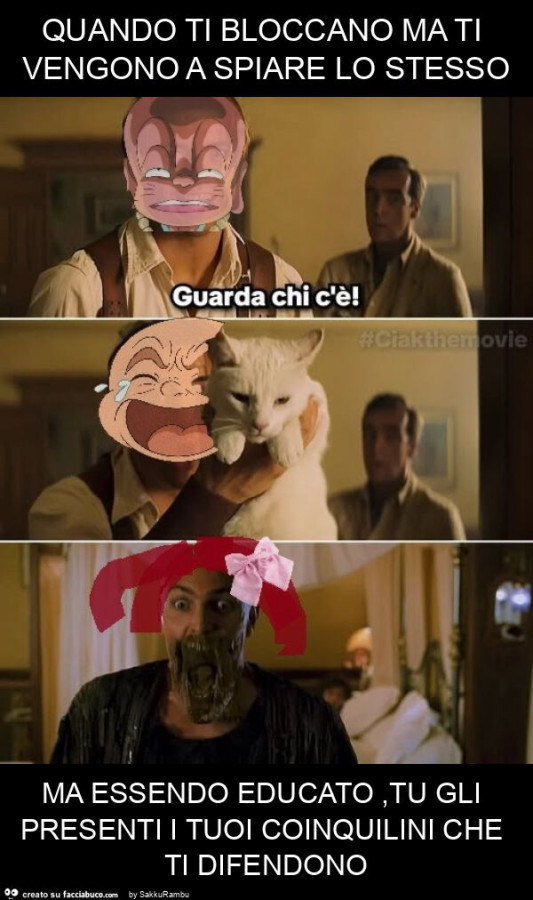 Quando ti bloccano ma ti vengono a spiare lo stesso ma essendo educato, tu gli presenti i tuoi coinquilini che ti difendono