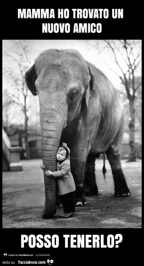 Mamma ho trovato un nuovo amico posso tenerlo?