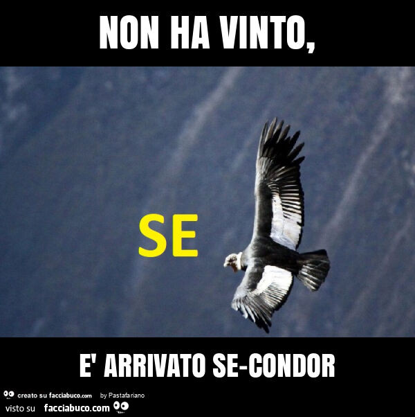 Non ha vinto, รจ arrivato se-condor