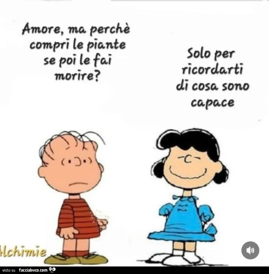 Amore ma perchè compri le piante se poi le fai morire?