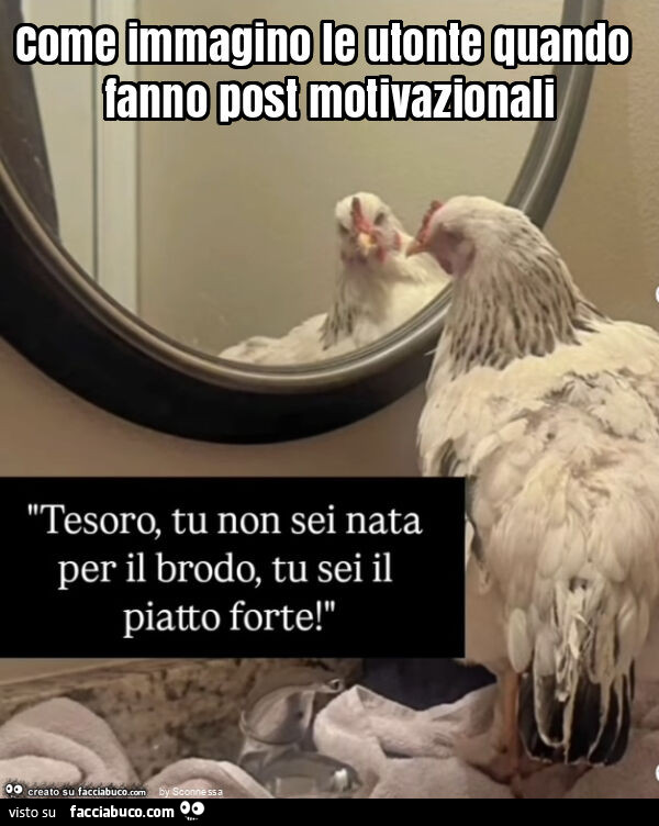 Come immagino le utonte quando fanno post motivazionali