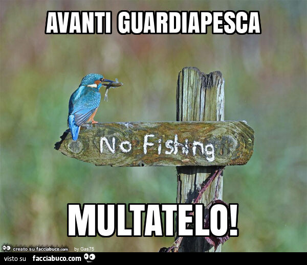Avanti guardiapesca multatelo