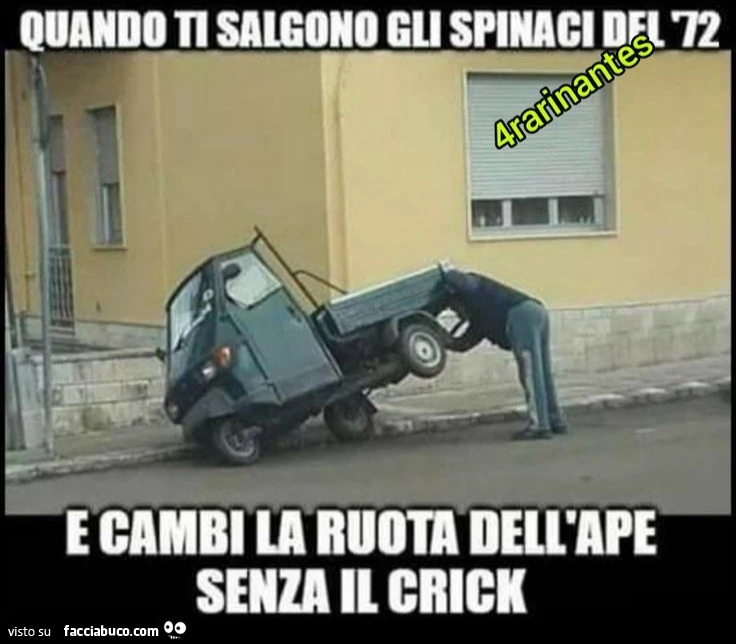 Vaccata