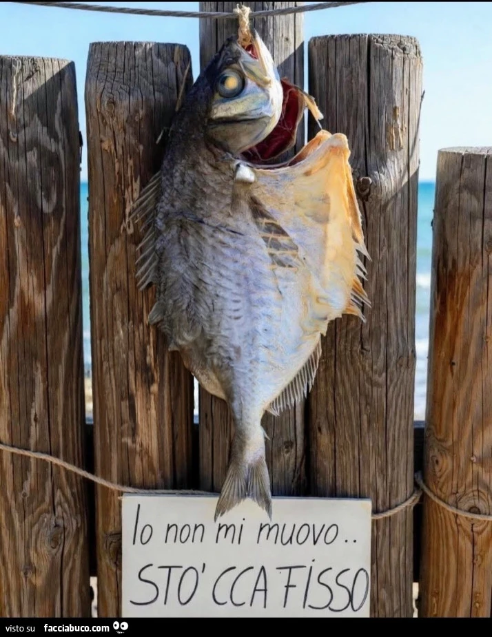 Stoccafisso