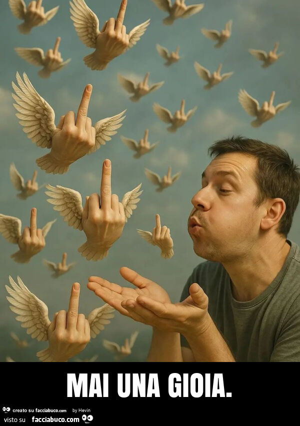 Mai una gioia